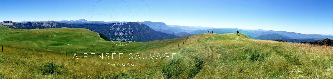 Panorama de La Pensée Sauvage dans les paysages du Vercors