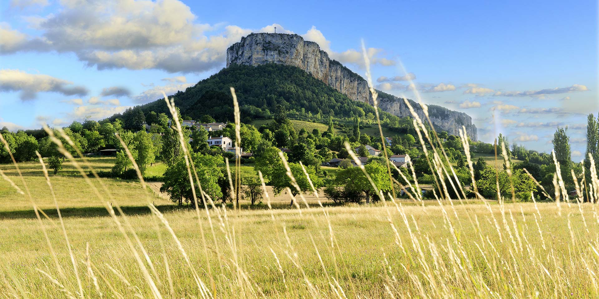 La Pensée Sauvage, Centre origine - Expérience détox